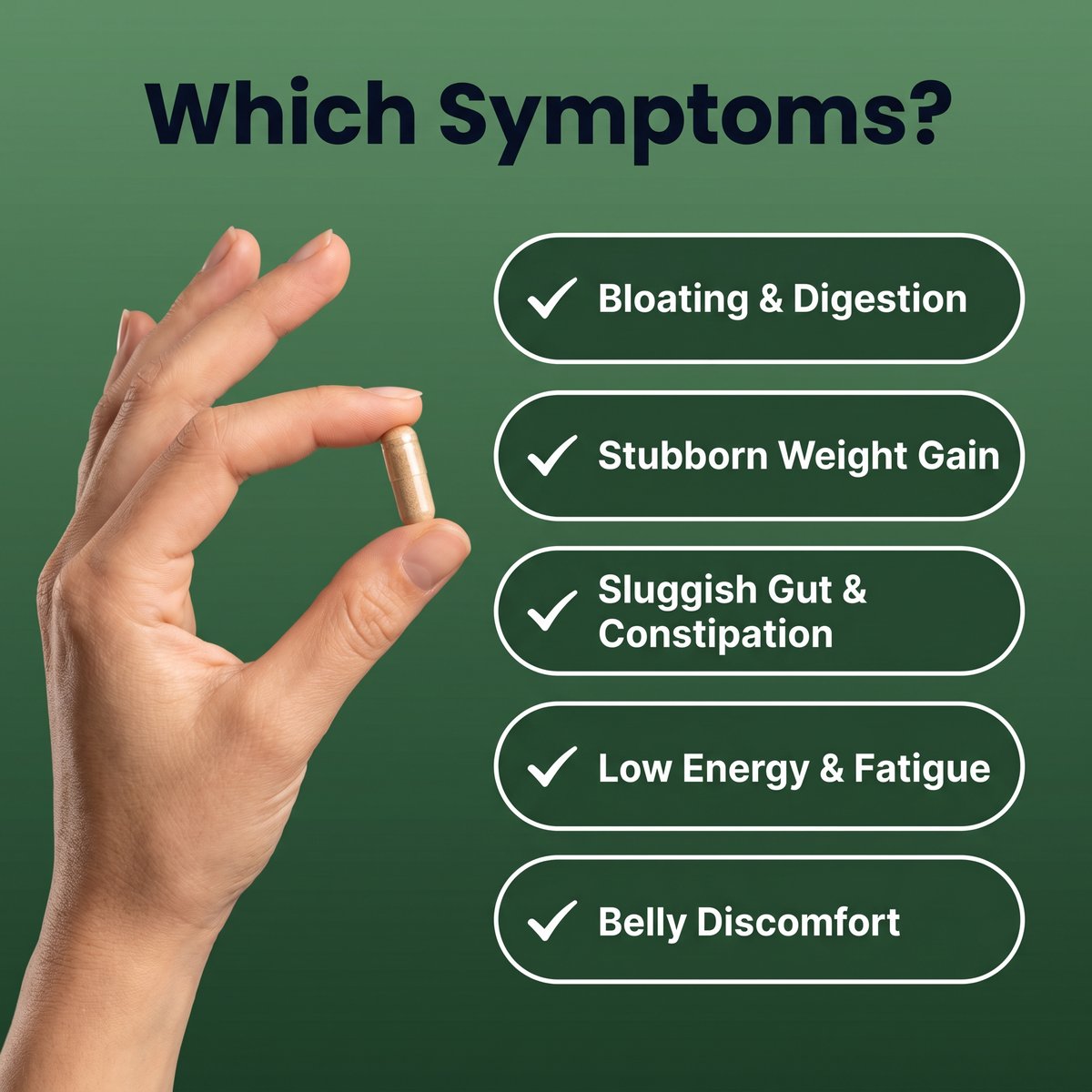Aida™ - Psyllium Husk Capsules