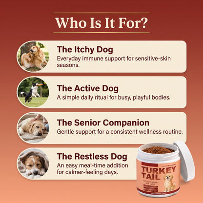Aida™ - Turkey Tail Powder